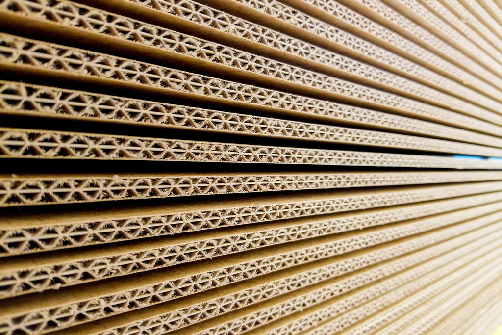 Paper Corrugator